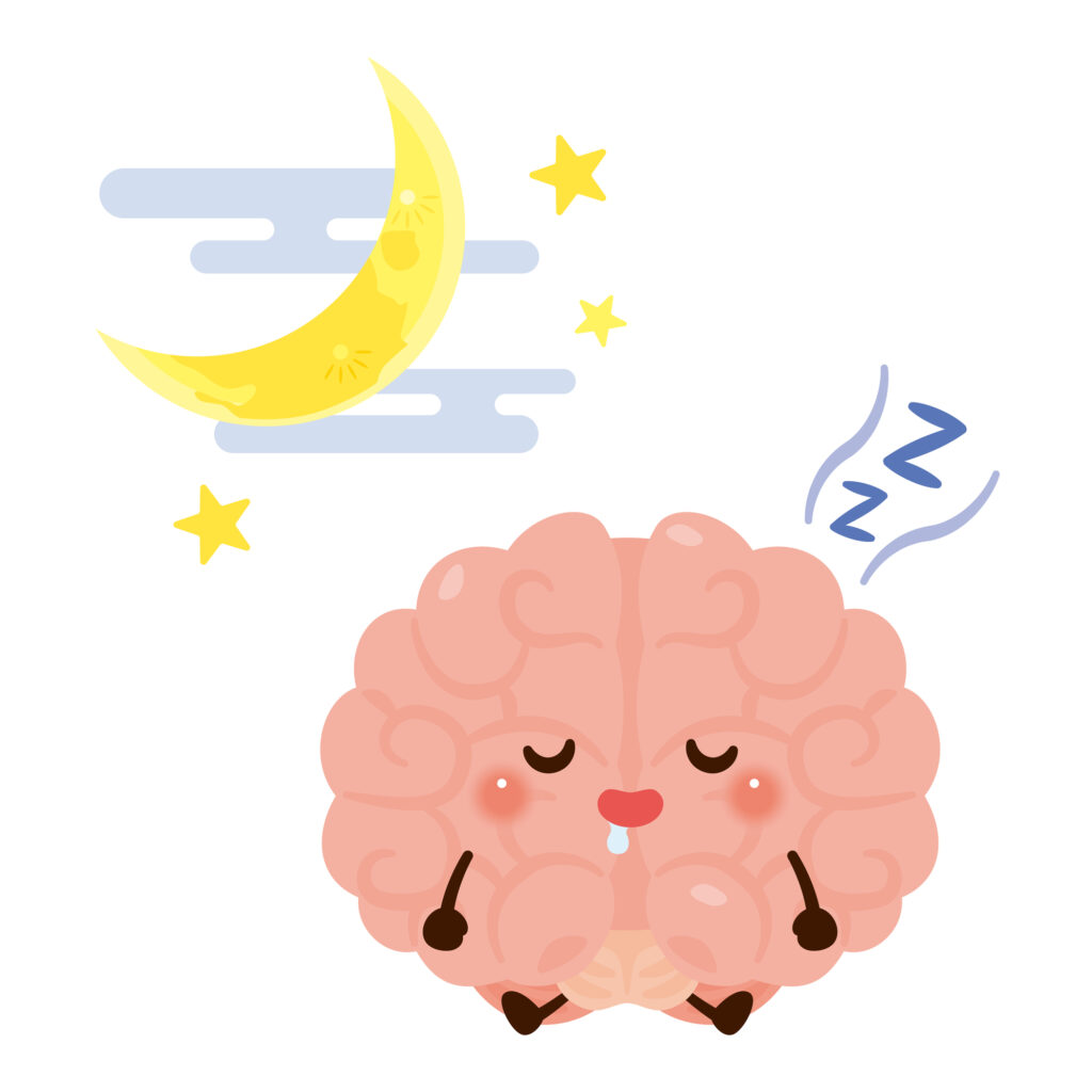 眠れない夜の原因は「メラトニン不足」かもしれない。睡眠ホルモンと寝具環境の深い関係