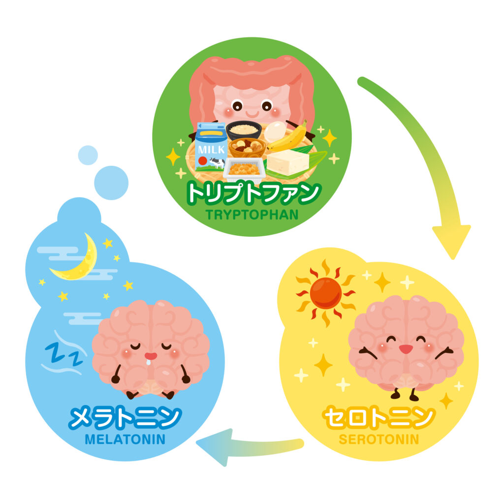 眠れない夜の原因は「メラトニン不足」かもしれない。睡眠ホルモンと寝具環境の深い関係